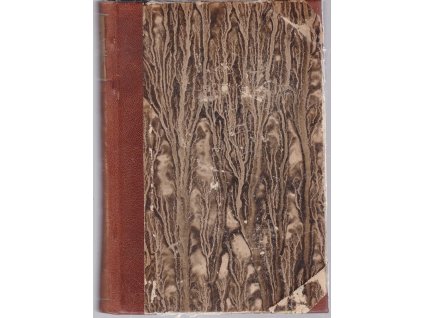 Poslední Budovec - román ze XVII. století