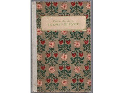 Za květu mladosti : Podhorská idylla ze života Boženy Němcové