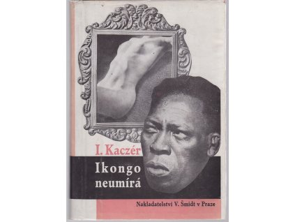 Ikongo neumírá - Román černocha