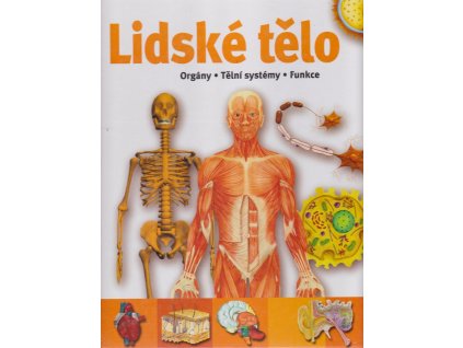 Lidské tělo - Orgány, tělní systémy, funkce, 0