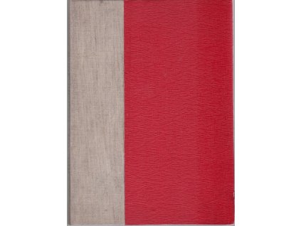 Dva roky prázdnin ; Patnáctiletý kapitán