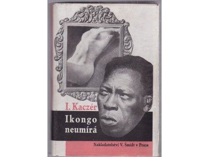 Ikongo neumírá - Román černocha