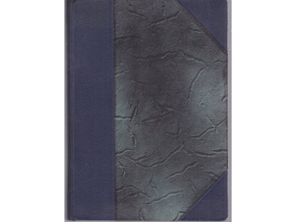 Pro dítě : román, Vlasta Pittnerová, 1919