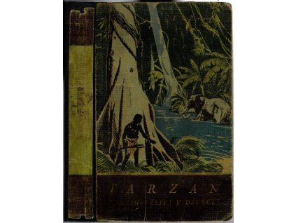 Tarzanova dobrodružství v džungli : Příběhy z africké divočiny