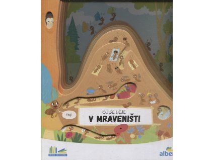 Co se děje v mraveništi