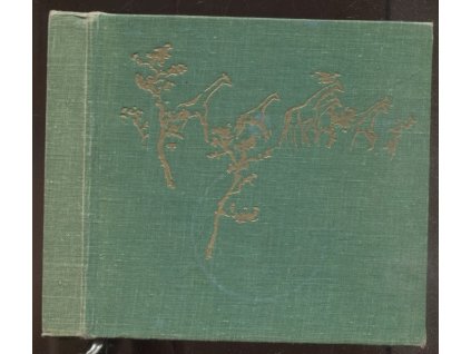 Sen safari, Zdena Vágnerová, 1971