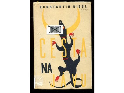 244734 cesta na javu