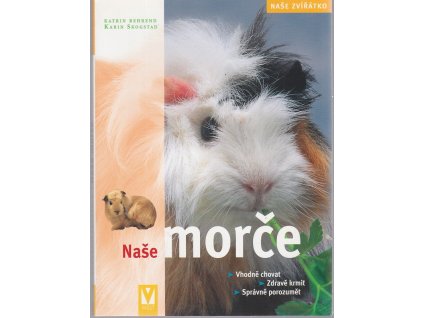 Naše morče - vhodná péče, zdravá strava, správné porozumění