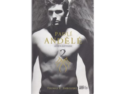 Padlí andělé. 2, Aerie a zúčtování, Tom Sniegoski, 2012