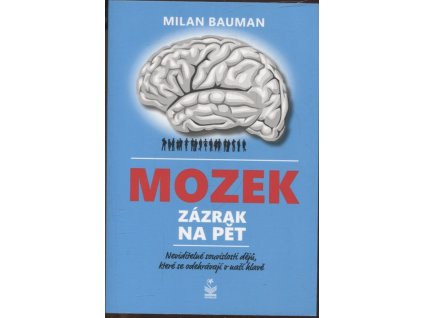 Mozek: zázrak na pět, Milan Bauman, 2019