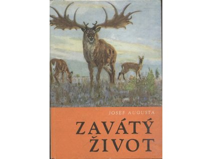 249534 zavaty zivot