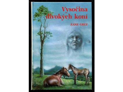 250458 vysocina divokych koni