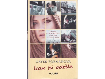 Kam jsi odešla, Gayle Formanová, 2015