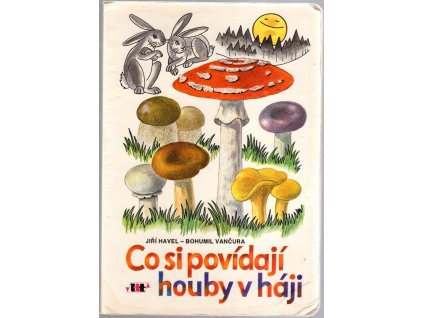 Co si povídají houby v háji