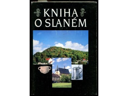 254112 kniha o slanem