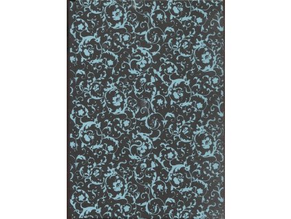 Smyčka medúzy a jiné příběhy