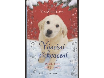 Vánoční překvapení