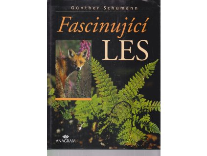 Fascinující les : dojmy, zážitky, setkání