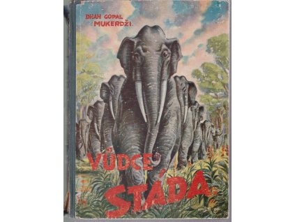 Vůdce stáda, Dhan Gopal Mukerdži, 1946