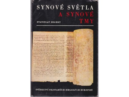 256017 synove svetla a synove tmy