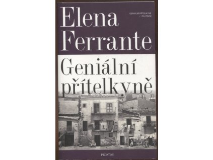 256422 genialni pritelkyne