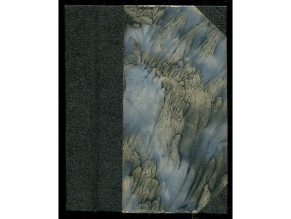 256479 rudy jestrab firebrain