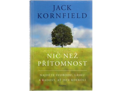 Nic než přítomnost