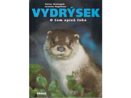 Vydrýsek : o čem zpívá řeka