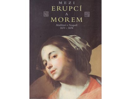 Mezi erupcí a morem : malířství v Neapoli 1631-1656 : katalog výstavy, Praha 12.12.1995-3.3.1996