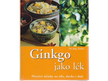 Ginkgo jako lék