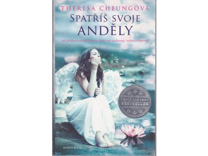 Spatříš svoje anděly, Theresa Cheungová, 2014