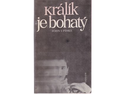 Králík je bohatý, John Updike, 1990