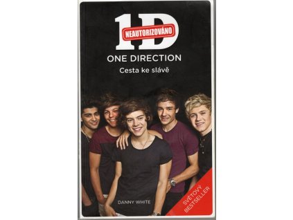 Cesta ke slávě - 1D - One Direction