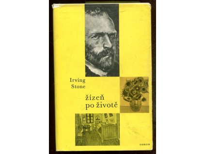 Žízeň po životě - Román o Vincentu Van Goghovi