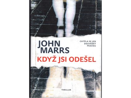 Když jsi odešel, John Marrs, 2018