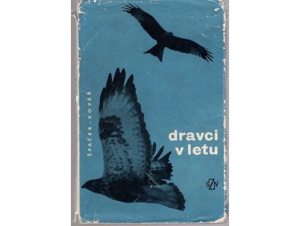 Dravci v letu