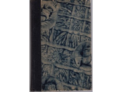 Magdalena - 1893, Josef Svatopluk Machar, 1930