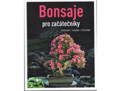 Bonsaje pro začátečníky
