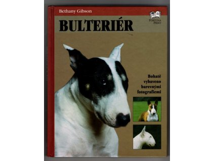 Bulteriér, Bethany Gibson, 2001