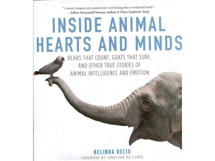 Inside animal hearts and minds