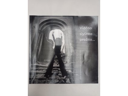 Viděno slyšeno prožito... - 10 let občanského sdružení Hadasa Tábor 2003-2013, Eva Měřínská, 2014