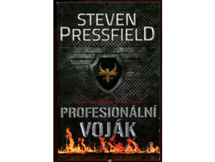 Profesionální voják