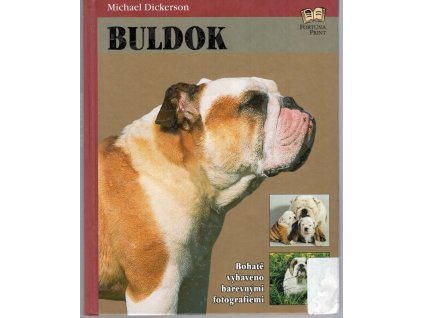 Buldok