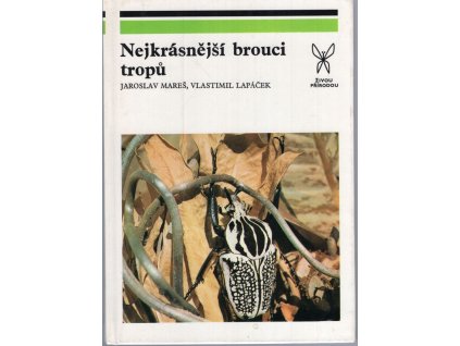 Nejkrásnější brouci tropů