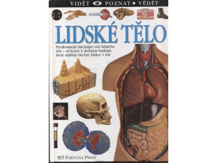 Lidské tělo