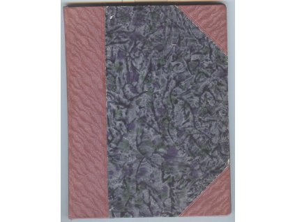 Srdce zaplálo, Anno Turková, 1916