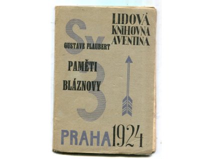 Paměti bláznovy - Román