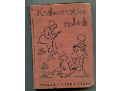 Knihovnička mládí