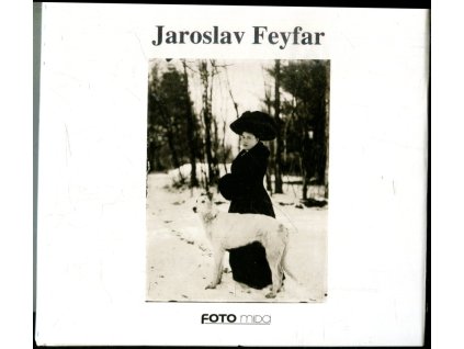 Jaroslav Feyfar, Pavel Scheufler, 1994