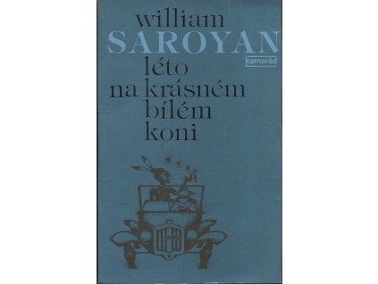 Léto na krásném bílém koni